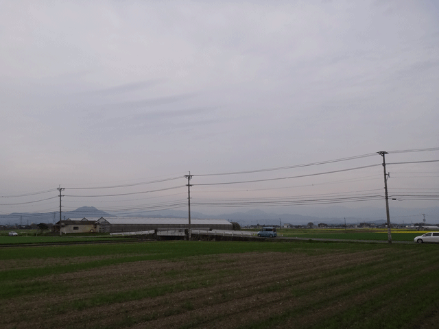 株式会社日食　　熊本市東区画図町　産地特選米　２４年産　特別栽培米　ヒノヒカリ