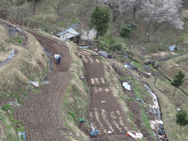 株式会社日食　熊波の棚田　兵庫県但馬　美方郡香美町村岡区熊波　棚田米コシヒカリ