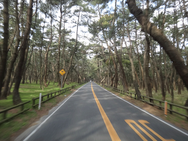 株式会社日食　虹の松原　佐賀県唐津市浜玉町　県道３４７号線　唐津街道