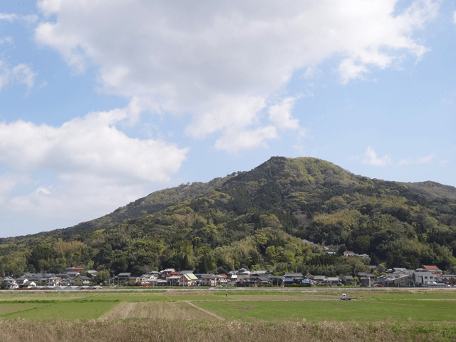 株式会社日食　ＪＡからつ　佐賀県唐津市　２４年産　特別栽培米　夢しずく