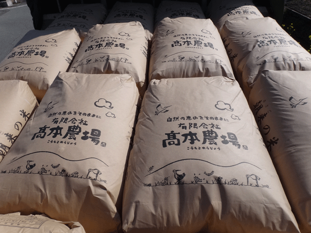 株式会社日食 有限会社高本農場 兵庫県但馬 朝来市和田山町 24年産 ミルキークイーン