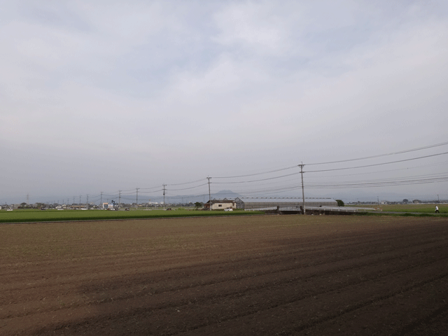 株式会社日食　　熊本市東区画図町　産地特選米　２４年産　特別栽培米　ヒノヒカリ