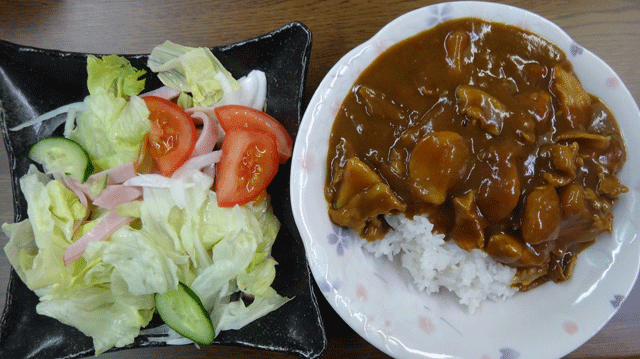 株式会社日食　今日のお昼ごはん　カレー　サラダ