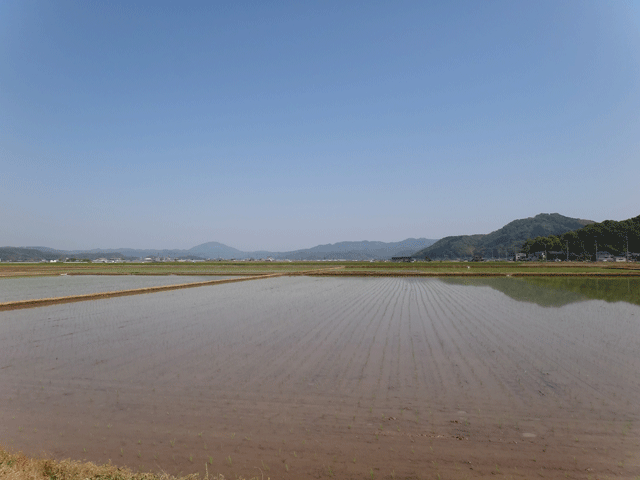 株式会社日食　コウノトリ　兵庫県但馬　豊岡市出石町伊豆地区　人工巣塔