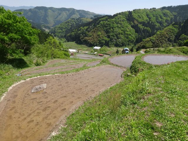 株式会社日食　【熊波の棚田】　兵庫県但馬　美方郡香美町村岡区熊波　棚田米コシヒカリ