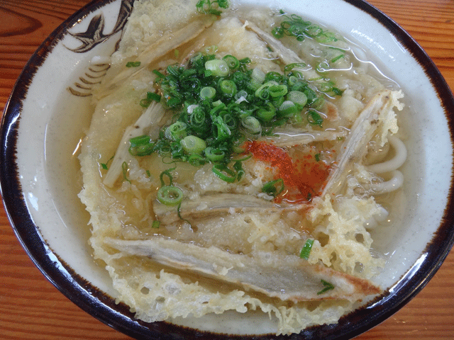 株式会社日食　今日のお昼ごはん　山口県 美祢市東厚保町　七福屋　厚保店　ごぼう天うどん　４３０円