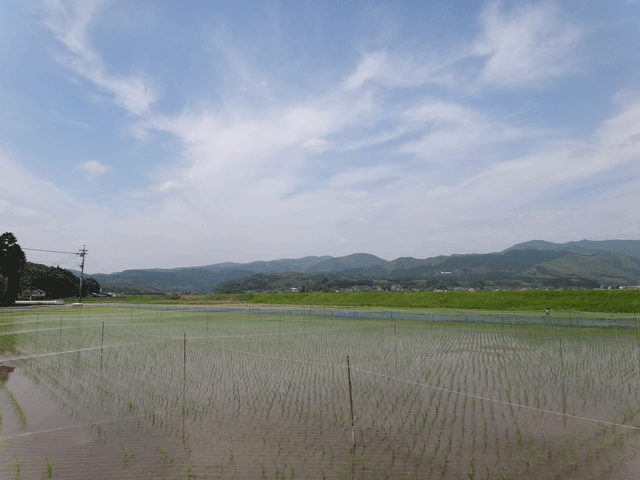 株式会社日食　鹿児島県伊佐市大口山野　有限会社ライス郷井手口　九州山地