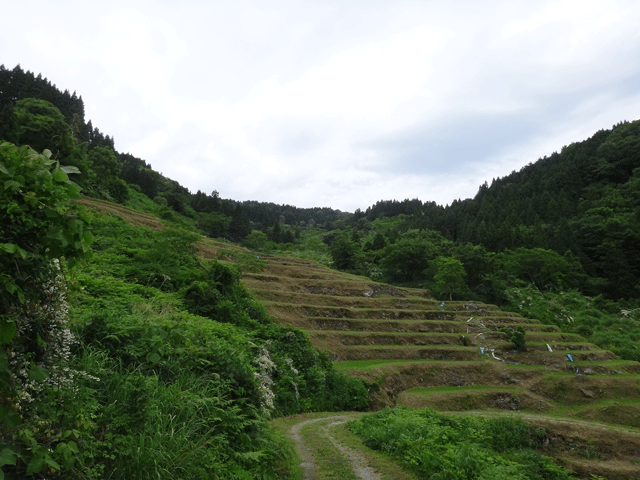 株式会社日食　【熊波の棚田】　兵庫県但馬　美方郡香美町村岡区熊波　棚田米コシヒカリ