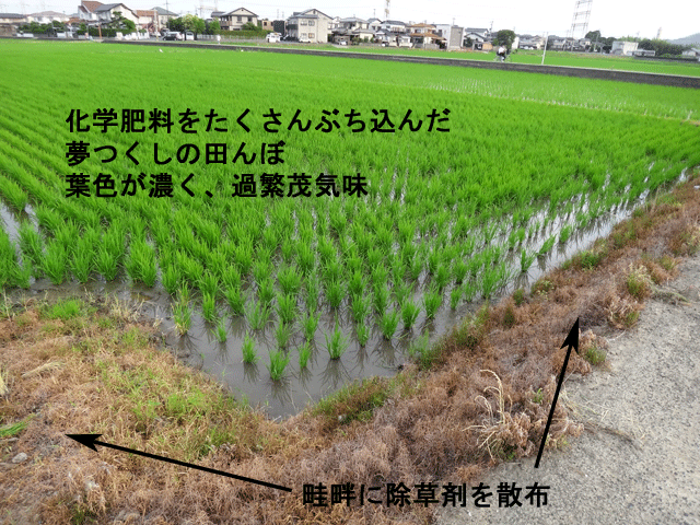 株式会社日食　福岡県産米　夢つくし　ＪＡ粕屋　福岡県粕屋郡粕屋町長者原