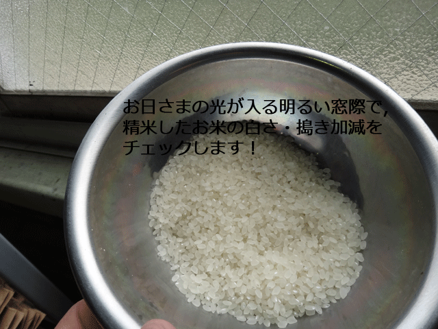 株式会社日食　サタケ精米機　ミルモア　HPR7B改造　精米チェック　精米データ