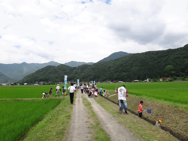 株式会社日食　島根県鹿足郡吉賀町注連川　注連川の糧　第７回　生き物調査