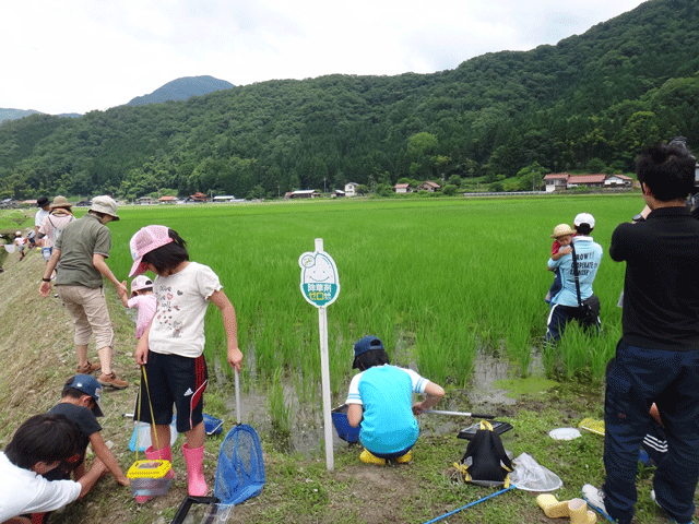 株式会社日食　島根県鹿足郡吉賀町注連川　注連川の糧　第７回　生き物調査