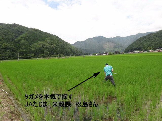 株式会社日食　島根県鹿足郡吉賀町注連川　注連川の糧　第７回　生き物調査　ＪＡたじま　米穀課