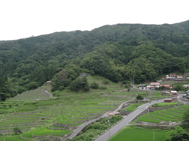 株式会社日食　日本の棚田百選　大井谷の棚田　島根県鹿足郡吉賀町柿木村白谷