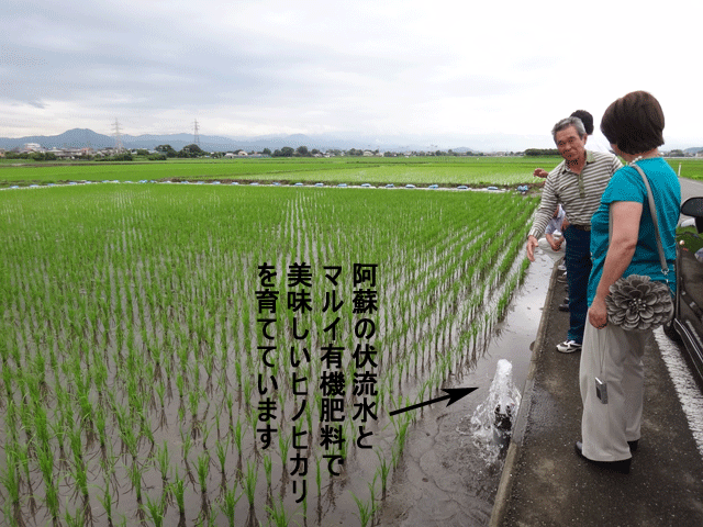 株式会社日食　圃場視察　ＪＡ熊本市　画図支店　熊本県熊本市画図町