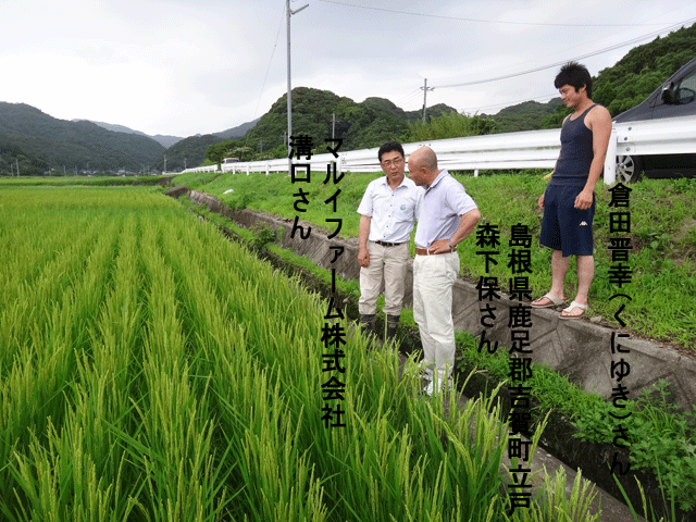 株式会社日食 熊本県天草市河浦町 倉田晋一さん 圃場視察