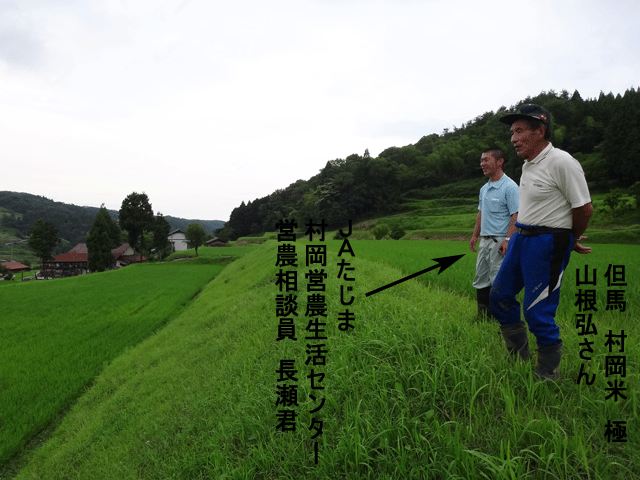 株式会社日食　ＪＡたじま　村岡営農センター　長瀬君　但馬村岡米極　山根弘