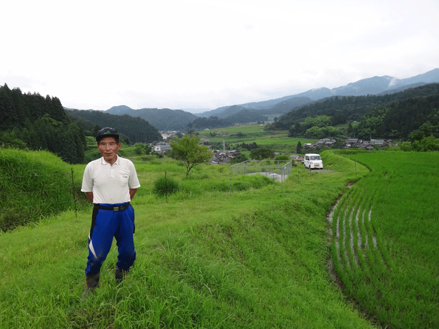 株式会社日食　山根弘さん　【但馬　村岡米　極】　棚田米コシヒカリ　兵庫県但馬　　美方郡香美町村岡区黒田