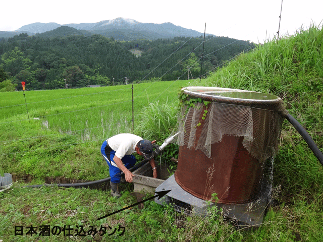 株式会社日食　山根弘さん　【但馬　村岡米　極】　棚田米コシヒカリ　兵庫県但馬　　美方郡香美町村岡区黒田