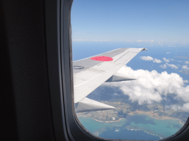 株式会社日食　沖縄出張　ＪＴＡ０５３便　ボーイング 737-400