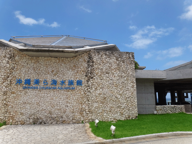 株式会社日食　沖縄出張　沖縄県国頭郡本部町　沖縄美ら海水族館　