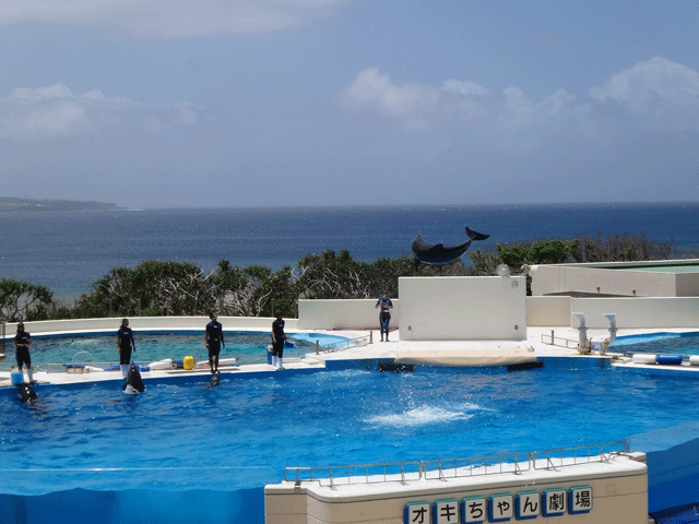 株式会社日食　沖縄出張　沖縄県国頭郡本部町　沖縄美ら海水族館　オキちゃん劇場　イルカショー