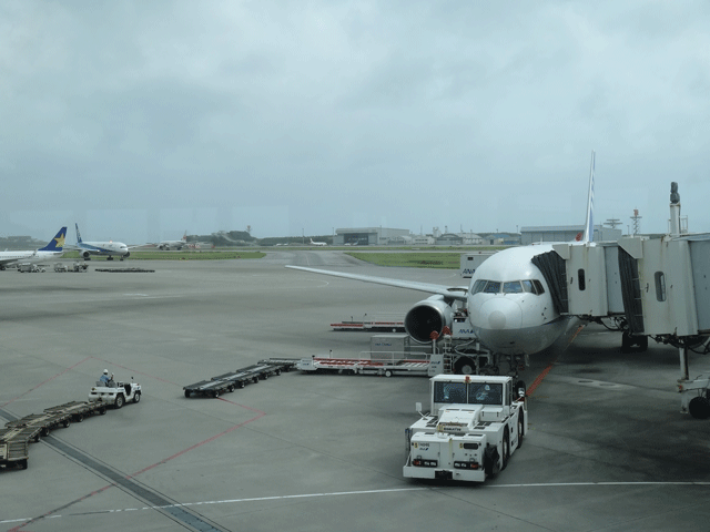 株式会社日食　沖縄県出張　那覇空港　ＡＮＡ４９０便　ボーイング７６７－３００