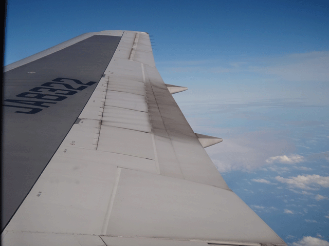 株式会社日食　沖縄県出張　那覇空港　ＡＮＡ４９０便　ボーイング７６７－３００