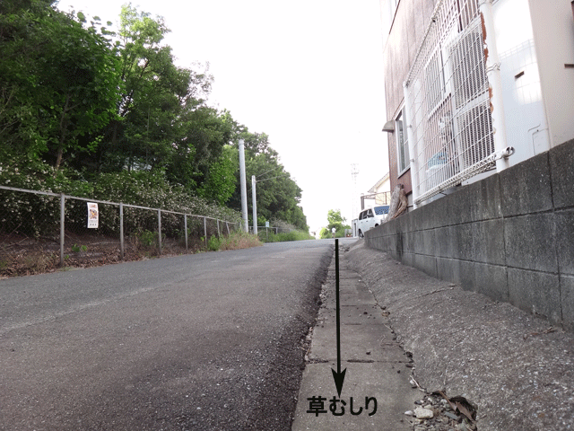 株式会社日食　草むしり