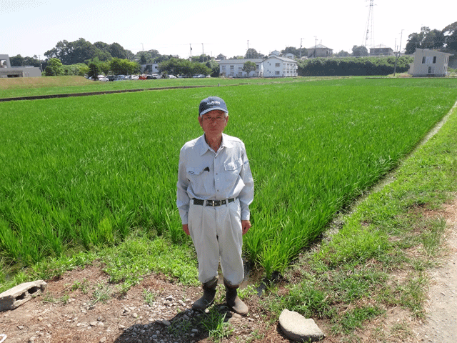 株式会社日食　大分県中津市永添　中津沖代営農組合　清水一元さん