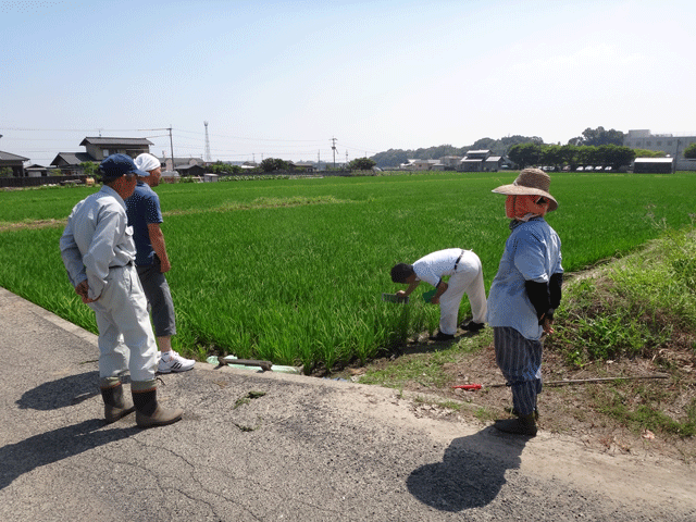 株式会社日食　大分県中津市永添　中津沖代営農組合　マルイファーム㈱　溝口さん　島根県吉賀町　森下保さん