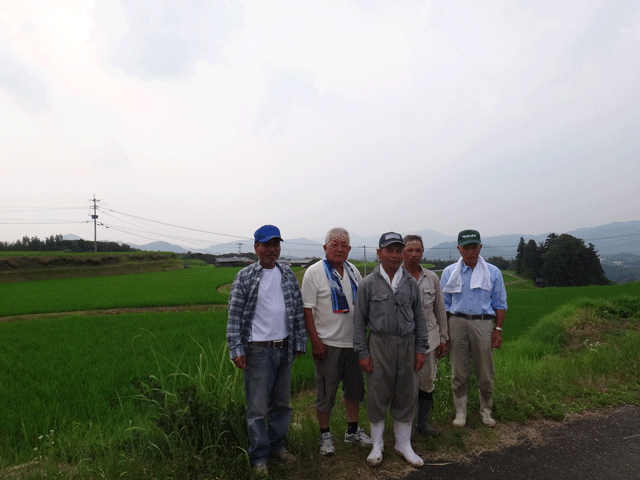 株式会社日食　大分県杵築市山香町　山香有機の会　ヒノヒカリ　田んぼ視察