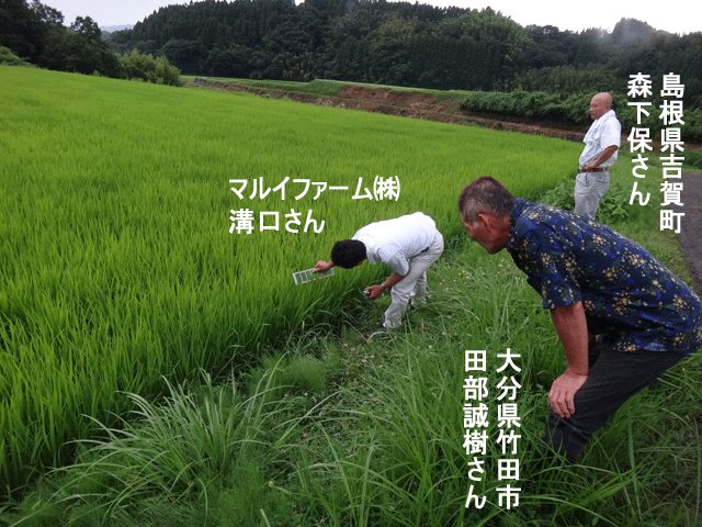 株式会社日食　大分県田んぼ視察　大分県竹田市小川　田部誠樹さん　ヒノヒカリ　ひとめぼれ