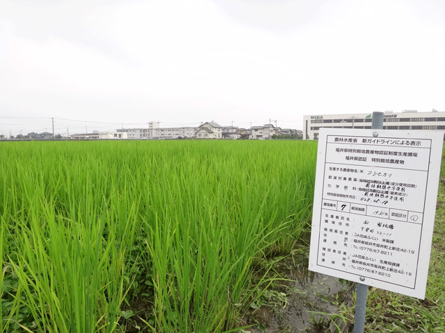 株式会社日食　西富治雄さん　福井県坂井市丸岡町　ＪＡ花咲ふくい　無農薬　無化学肥料