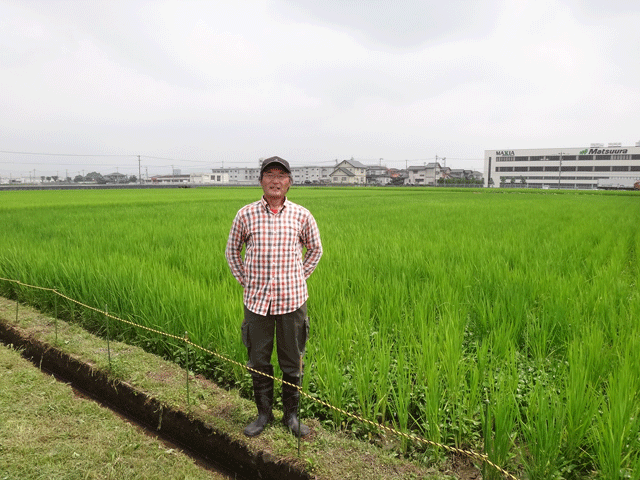 株式会社日食　西富治雄さん　福井県坂井市丸岡町　ＪＡ花咲ふくい　無農薬　無化学肥料