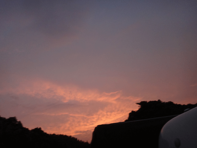 株式会社日食　中国道　上り線　夕陽