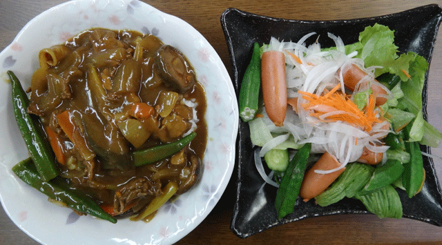 株式会社日食　今日のお昼ごはん　野菜カレー　サラダ