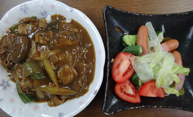 株式会社日食　今日のお昼ごはん　野菜カレー　サラダ