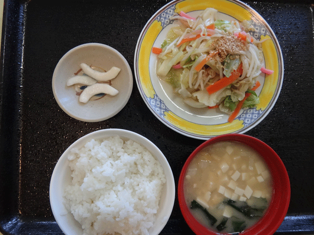 株式会社日食 今日のお昼ごはん野菜炒め 道の駅 竜北 熊本県八代郡氷川町 農村レストラン