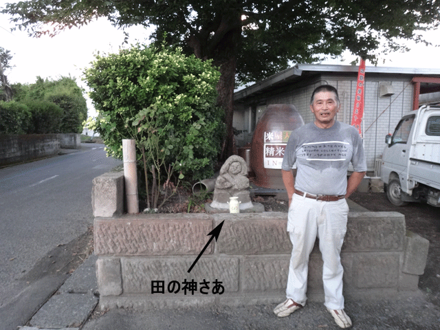 株式会社日食 田の神さあ 産地特選米 鹿児島県肝属郡東串良町 大幸農産 中島正幸