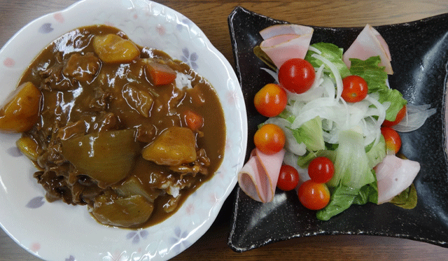 株式会社日食　今日のお昼ごはん　カレー　サラダ