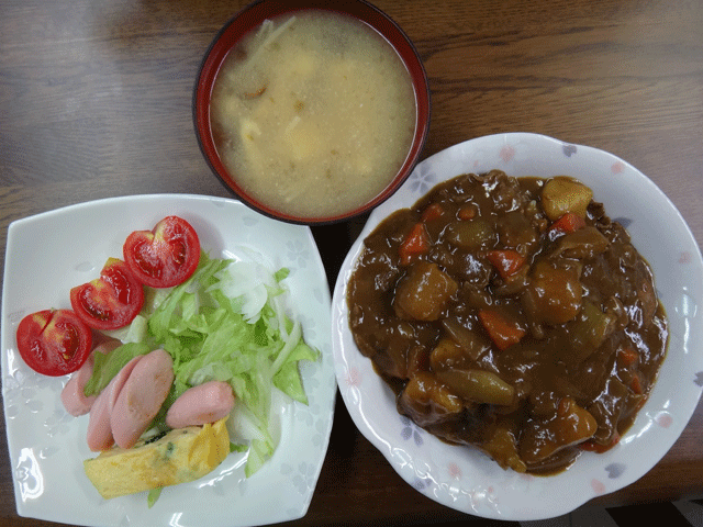 株式会社日食　今日のお昼ごはん　カレー　サラダ　味噌汁