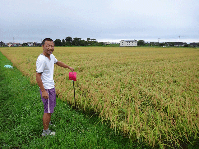 株式会社日食　ＪＡ花咲ふくい　販売推進課　新宅係長　福井県あわら市　コシヒカリ