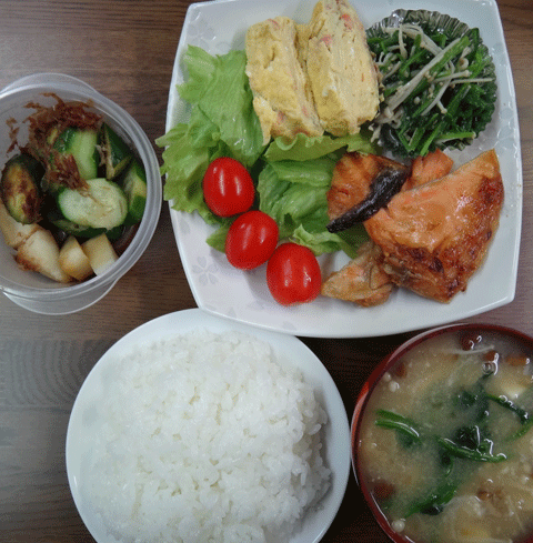 株式会社日食　今日のお昼ごはん　ごはん　味噌汁　塩鮭のカマ焼き　玉子焼き　ほうれん草のおひたし　サラダ　自家製ヌカ漬け