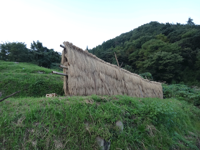 株式会社日食　熊波の棚田　兵庫県但馬　美方郡香美町村岡区熊波　棚田米コシヒカリ