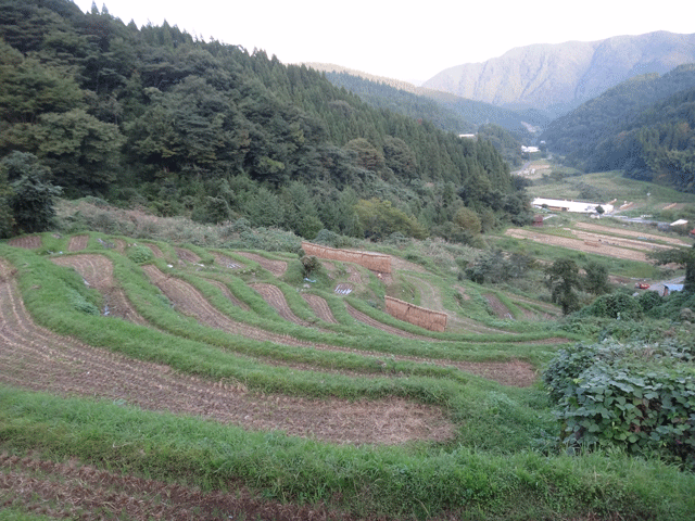 株式会社日食　【熊波の棚田】　兵庫県但馬　美方郡香美町村岡区熊波　棚田米コシヒカリ