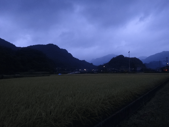 株式会社日食　国道５００号線　大分県中津市本耶馬渓町