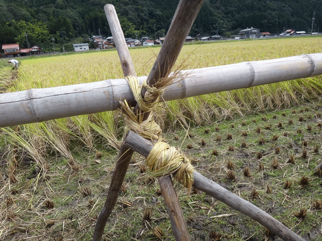 株式会社日食　はで干し講習会＆収穫祭　注連川の糧　島根県鹿足郡吉賀町注連川