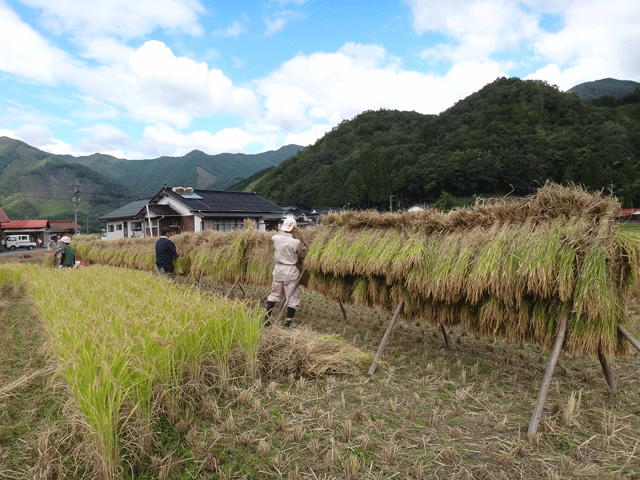 株式会社日食　はで干し講習会＆収穫祭　注連川の糧　島根県鹿足郡吉賀町注連川