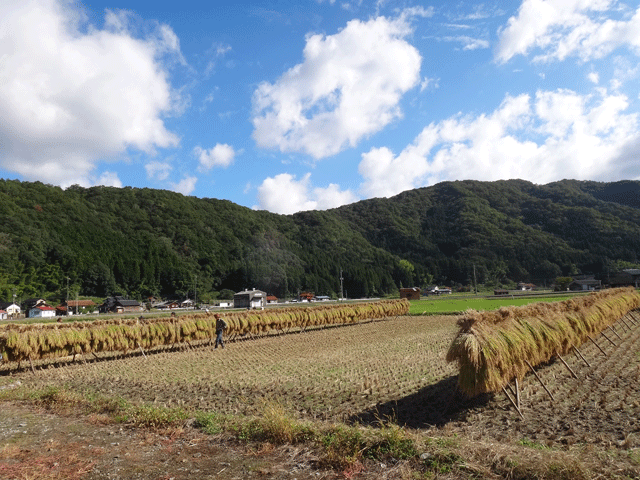 株式会社日食　はで干し講習会＆収穫祭　注連川の糧　島根県鹿足郡吉賀町注連川